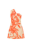 SAMPLE-Sasha Dress - Sunset Botanica