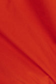 Cherry Red Long Sleeve Panelled Flounce Akel Top