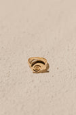 Gold Toned Twirl Shell Ring