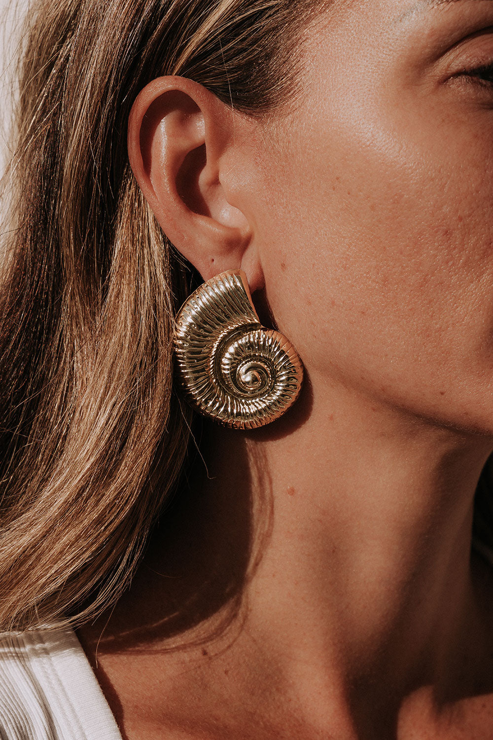 Gold Toned Sundial Shell Earrings